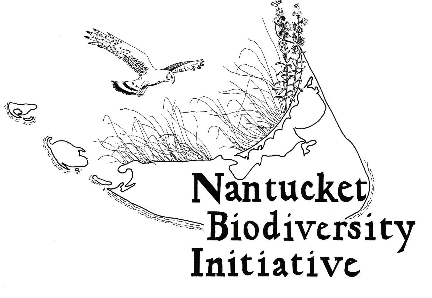 Nantucket Biodiversity Initiative