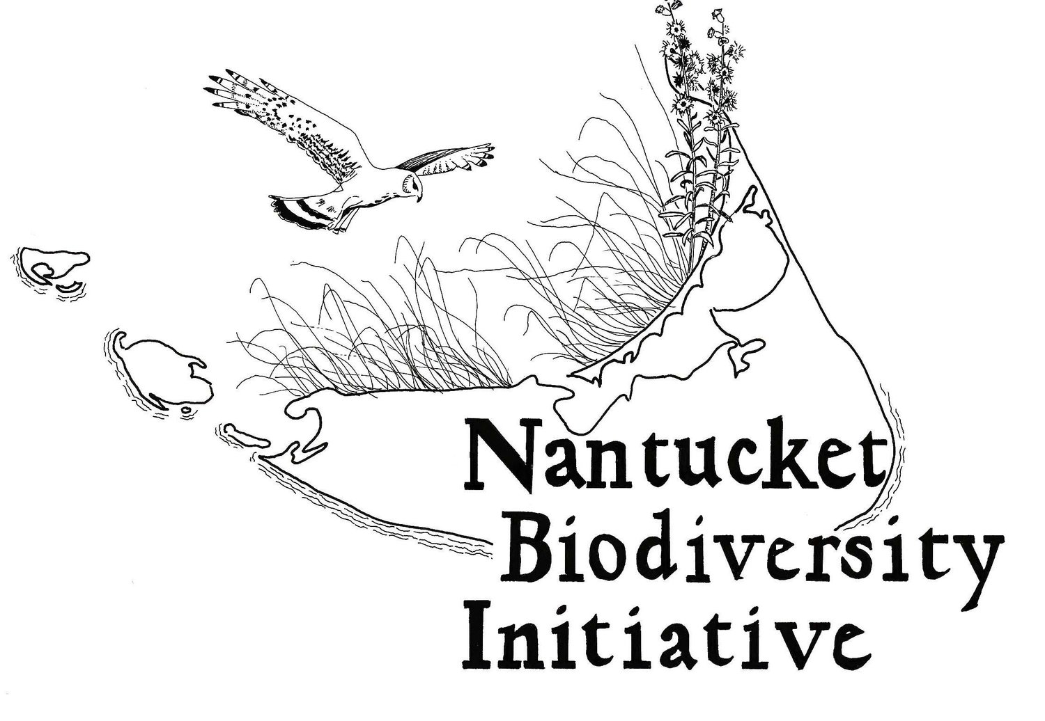 Nantucket Biodiversity Initiative