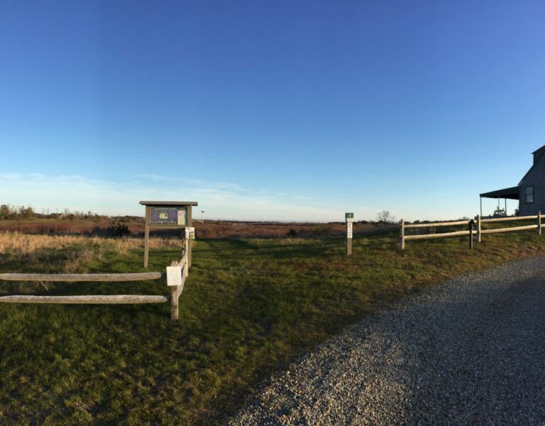 Nantucket Walkabout – Linda Loring Nature Foundation