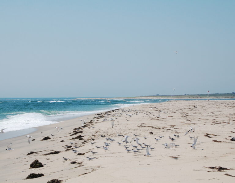 Nantucket Walkabout – Smith’s Point