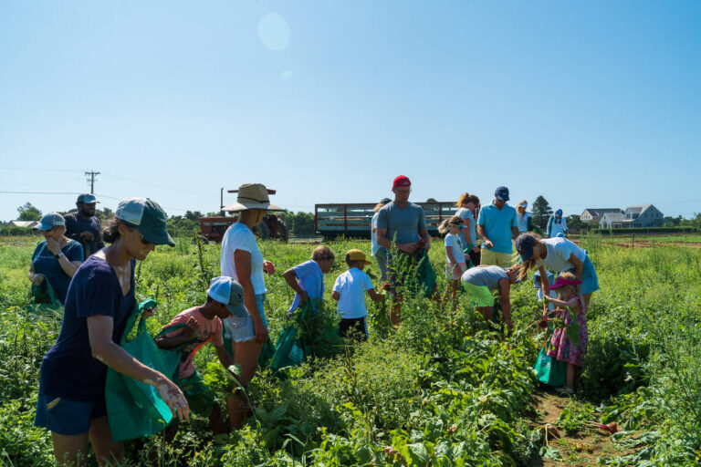 Pick Your Own Veggies Tour