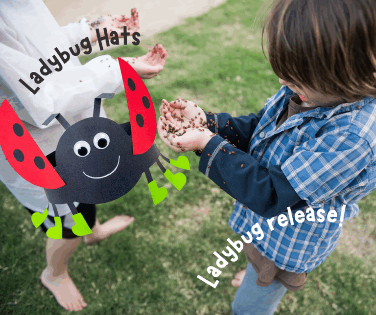 Crafts in the Courtyard: Ladybug Hats and LIVE Ladybug release