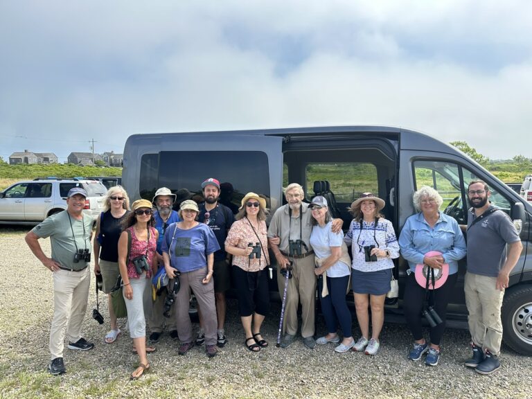 Birding Field Trip