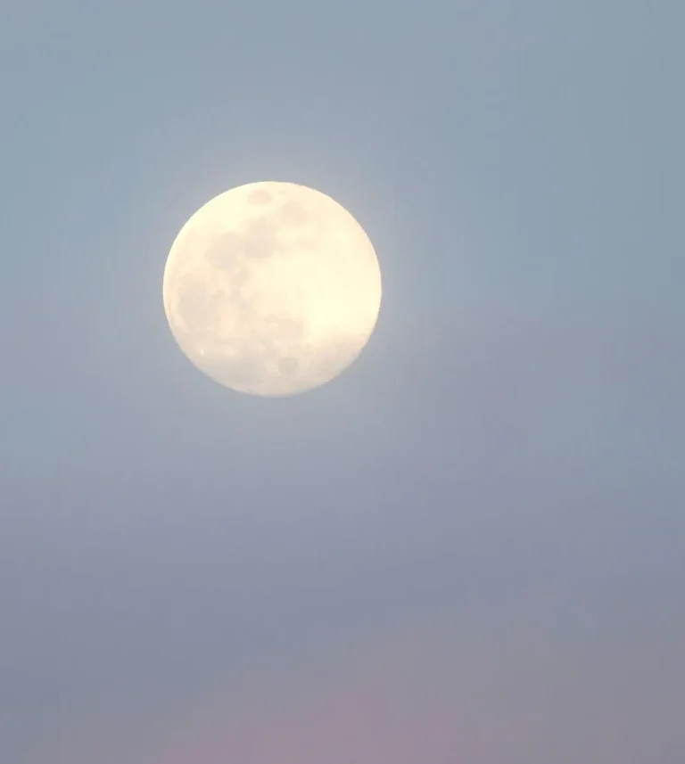 Full Moon Nature Walk – Buck Moon