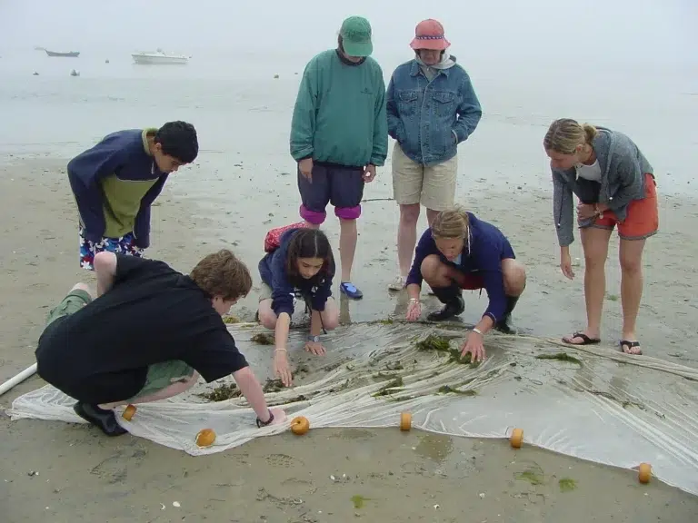 Marine Ecology Field Trip