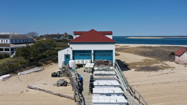 Tour the Brant Point Shellfish Hatchery!