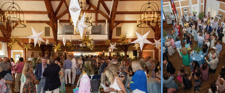 The 9th Annual Dragonfly Fundraiser