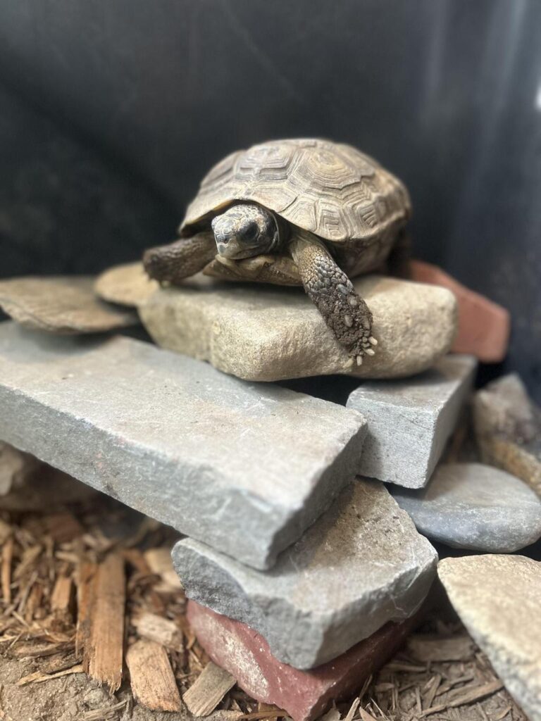 Keeper For A Day