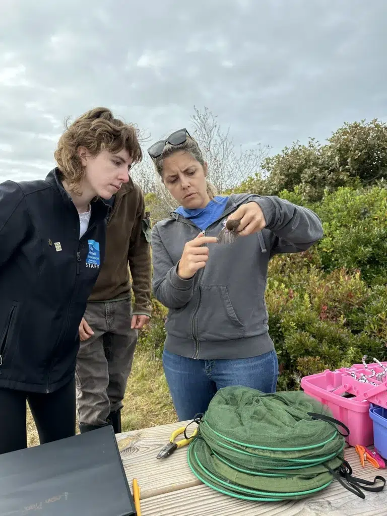 Ecologist in Training – Bird Banding: Studying Migratory Bird Species