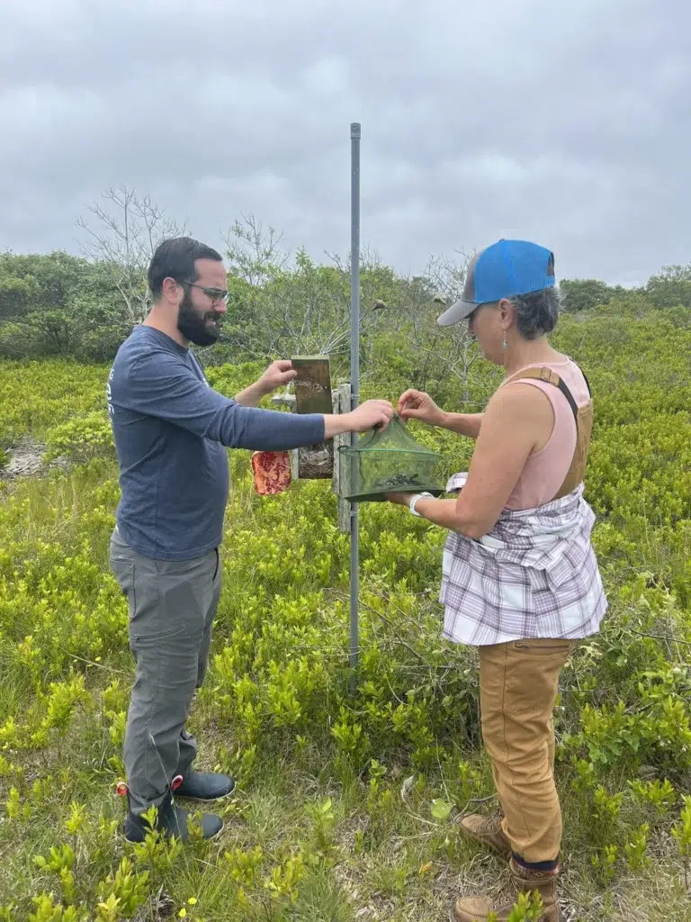 Ecologist in Training – Tree Swallow Nest Box Surveys