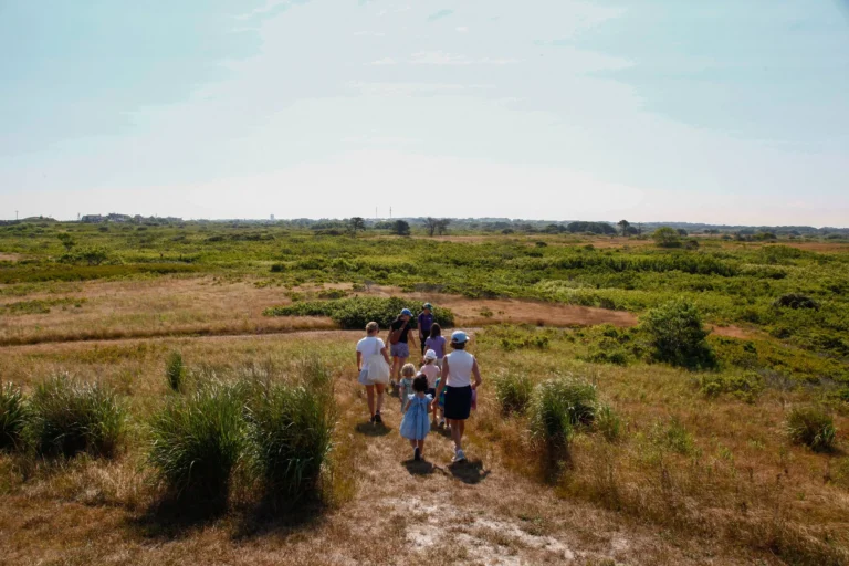 Guided Nature Walk at LLNF with Sconset Trust