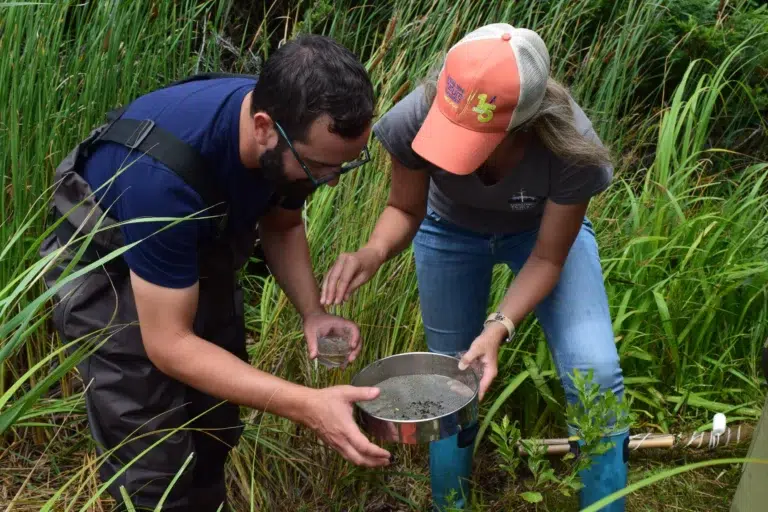Ecologist in Training – Aquatic Sampling: Discover the Creatures of North Head of Long Pond