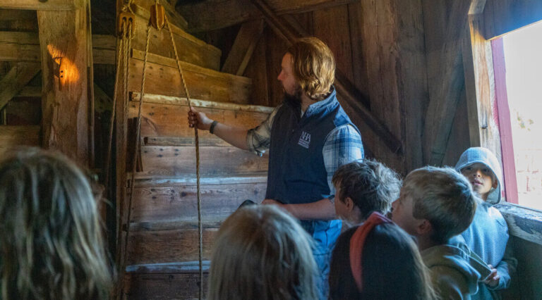 Restoration Exploration at the Old Mill