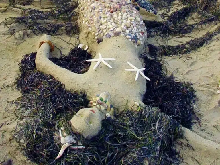 Sandcastle Contest
