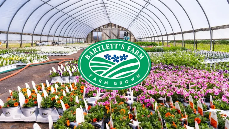 Greenhouse Tours at Bartlett’s Farm