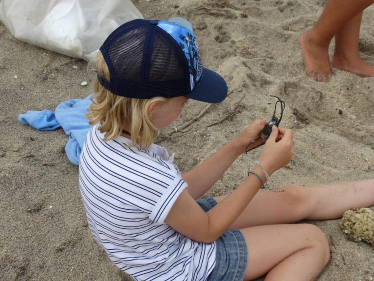 Pop-Up Beach Biology Field Trip