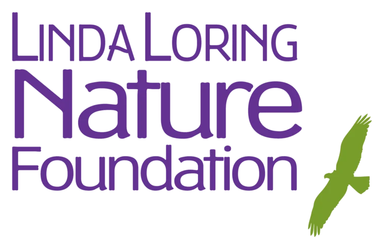 Linda Loring Nature Foundation Logo